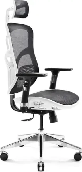 Diablo V-Basic bílo-černá / ergonomická židle / nastavitelná / síťovaná / pojezdová kolečka / nosnost 150 kg (V-BASICBIACZ)