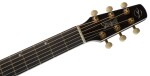 Seagull Artist Mosaic CH CW BourbonBurst GT EQ