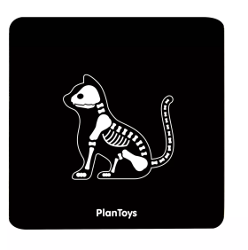 PlanToys PlanToys Veterinářský set