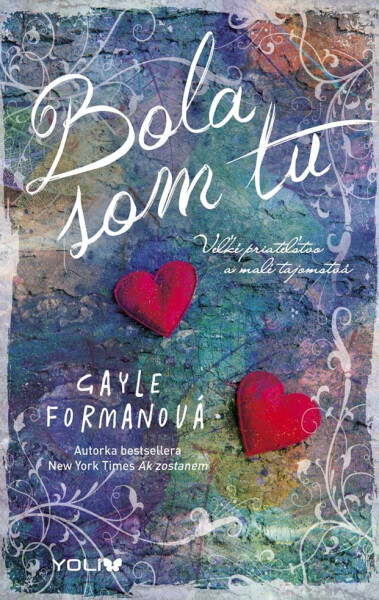 Bola som tu (e-kniha) - Gayle Forman