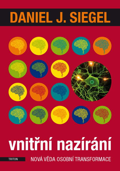 Vnitřní nazírání - Daniel J. Siegel