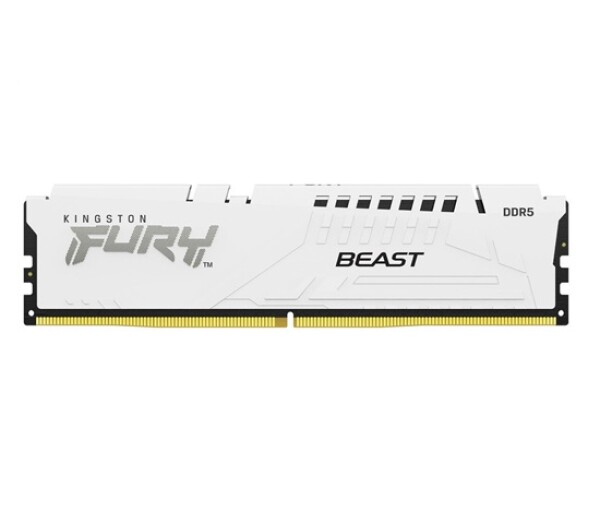 KINGSTON DIMM DDR5 16GB 6000MT/s CL30 ECC FURY Beast EXPO Bílá EDF_553748