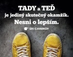 Magnet na lednici - Tady a teď je jediný skutečný okamžik. Nesni o lepším. - Sri Chinmoy