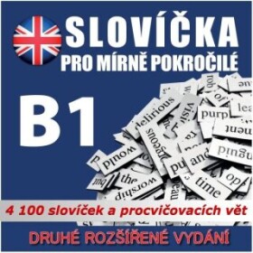 Angličtina - slovíčka B1 - audioacademyeu - audiokniha