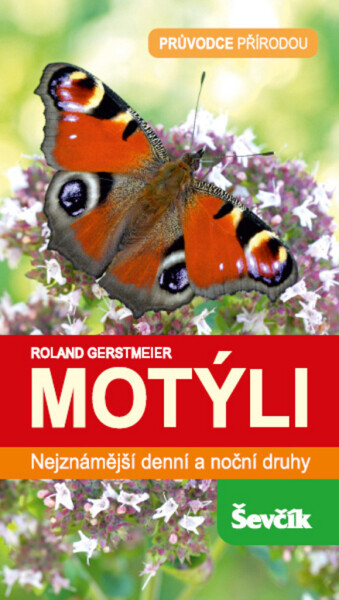 Motýli