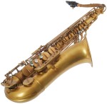 Eastman ETS223V