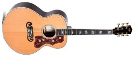 Sigma Guitars GJR-SG300