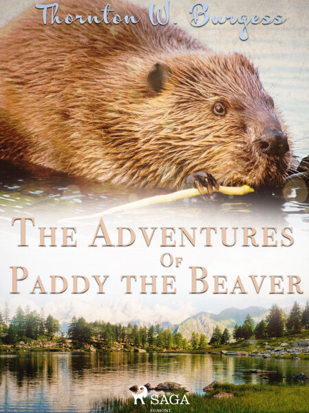 The Adventures of Paddy the Beaver - Thornton W. Burgess
