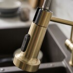 REA - Uzávěr s perlátorem pro kuchyňskou baterii Colin Brush Gold REA-B9707