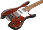 Ibanez Q54WR CNL