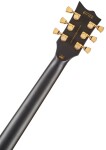 ESP LTD EC-1000 VBDR