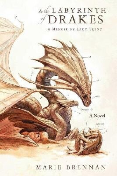 In the Labyrinth of Drakes - Marie Brennan
