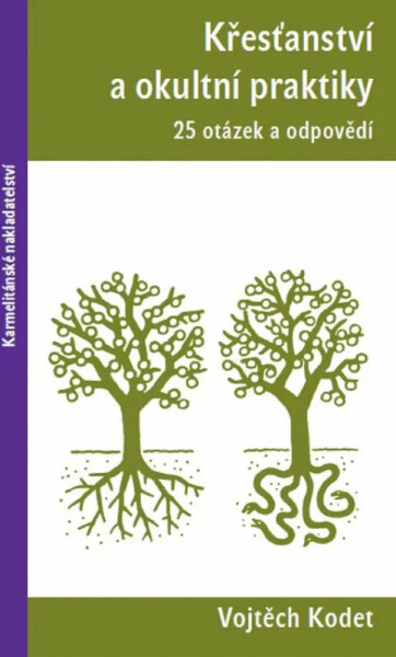 Křesťanství a okultní praktiky - 25 otázek a odpovědí - Vojtěch Kodet