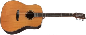 Tanglewood TRS5 SE