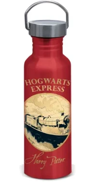 STOR Láhev na pití Harry Potter - Golden Magic / 815 ml / Hliníková / Šroubovací uzávěr s poutkem (ST75306EPM)