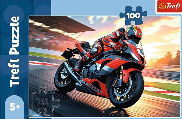 Puzzle Rychlý motorkář 100 dílků