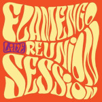 Live - LP - Reunion Session Flamengo