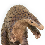Safari Ltd. Safari Ltd. Figurka - Luskoun