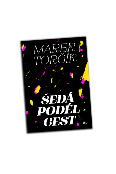 Šedá podél cest - Marek Torčík