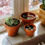 Blossombs Dárková sada divokých květin With Love – 4 ks, růžová barva, papír