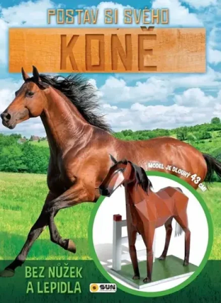 NAKLADATELSTVÍ SUN Kniha Postav si svého Koně