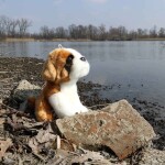 Plyšový pes bernardýn 20 cm, ECO-FRIENDLY