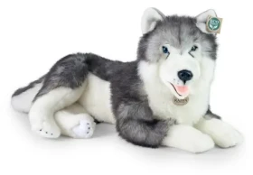 RAPPA Plyšový pes husky ležící 60 cm