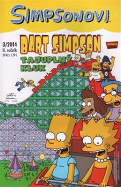 Bart Simpson Tajuplný kluk