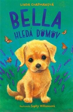 Bella hledá domov - Linda Chapman