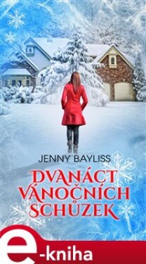 Dvanáct vánočních schůzek - Jenny Bayliss e-kniha