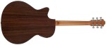 Furch Violet Gc-ER Master's Choice CNR Active (použité)
