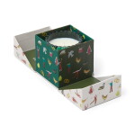 Paddywax Balsam & Fir 127 g - Paddywax Vonná svíčka Green Balsam/Fir 127 g, zelená barva, sklo, papír, vosk