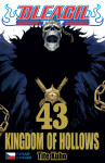 Bleach 43: Kingdom of Hollows - Noriaki Kubo