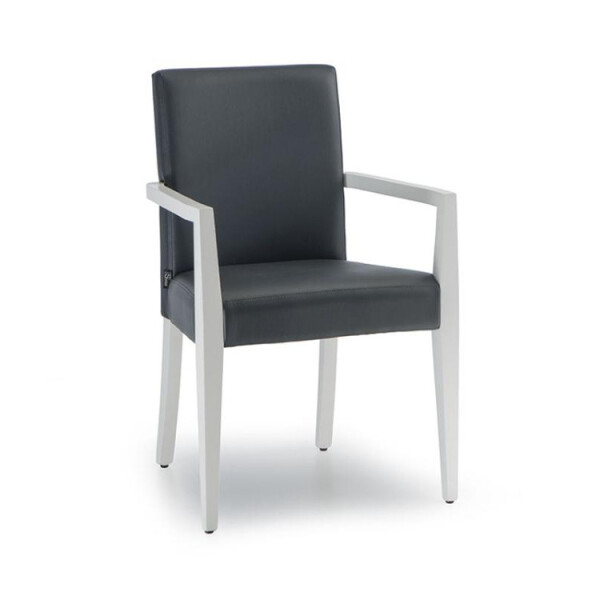 NábytekProNás Designové křesílko DIANA 220 STI-DIANA220