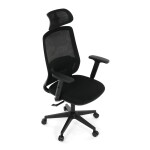 Kancelářská židle, synchronní mechanismus, černá síťovina, KA-S2176 BK