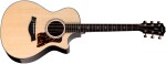 Taylor 412ce Next Generation
