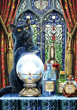Trefl - Puzzle - Premium Plus Magic Collection: Čarodějný učeň