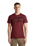 ICEBREAKER Mens Merino 150 Tech Lite SS Tee Getaway, Port velikost: XL