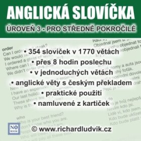 Anglická slovíčka - úroveň 3 pro středně pokročilé - Richard Ludvík - audiokniha