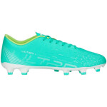 Fotbalové boty Puma Ultra Play FG/AG M 107224 03 42
