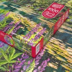 Puzzle Cherry Pazzi 1000 dílků - Zahrada snů (Garden of My Dreams)