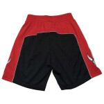 Mitchell & Ness Pánské kraťasy Toronto Raptors NBA 2012-13 Swingman Shorts Velikost: XL