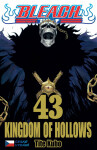 Bleach 43: Kingdom of Hollows - Tite Kubo