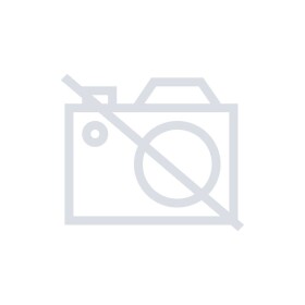 Festool 80x133 P40 GR/10 497127 brusný papír Zrnitost 40 (d x š) 80 mm x 133 mm 10 ks