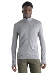 ICEBREAKER Mens Merino 260 Quantum IV LS Zip, Metro Heather velikost: M