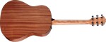 Taylor 117e Special Edition Dark Tobacco