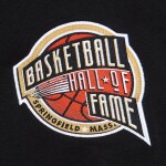 Mitchell & Ness Pánská mikina Toronto Raptors NBA Vince Carter 2024 Hall of Fame Premium Hoodie Velikost: L