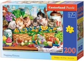 Puzzle Castorland 200 dílků - Dřímající koťata