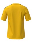 Mizuno Pánské tričko Tee Cyber Yellow - Fotbalový dres Mizuno MZNRB Tee P2EAB55045 Velikost textilu: M