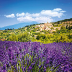 Nástěnný poznámkový kalendář 2026 NOTIQUE - Provence, 30 x 30 cm - BEZ ČEŠTINY